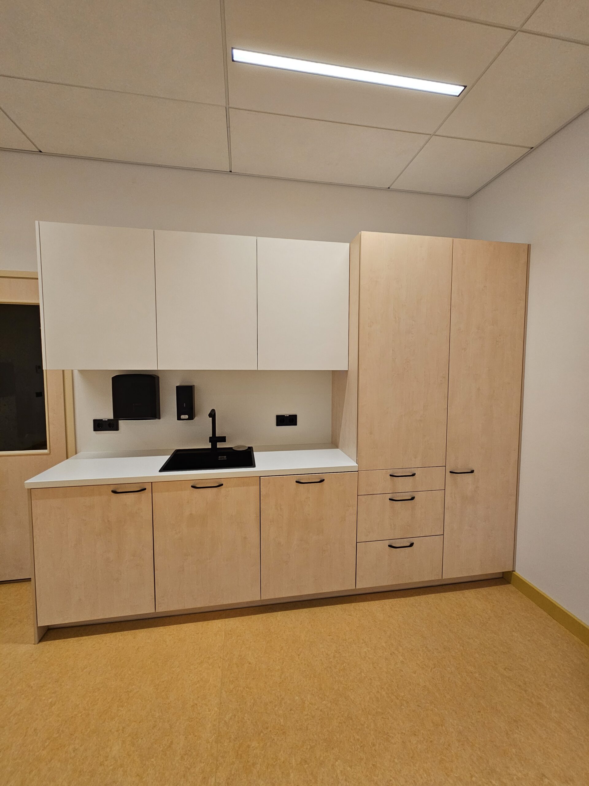 SAUE LASTEAED 12 Scaled