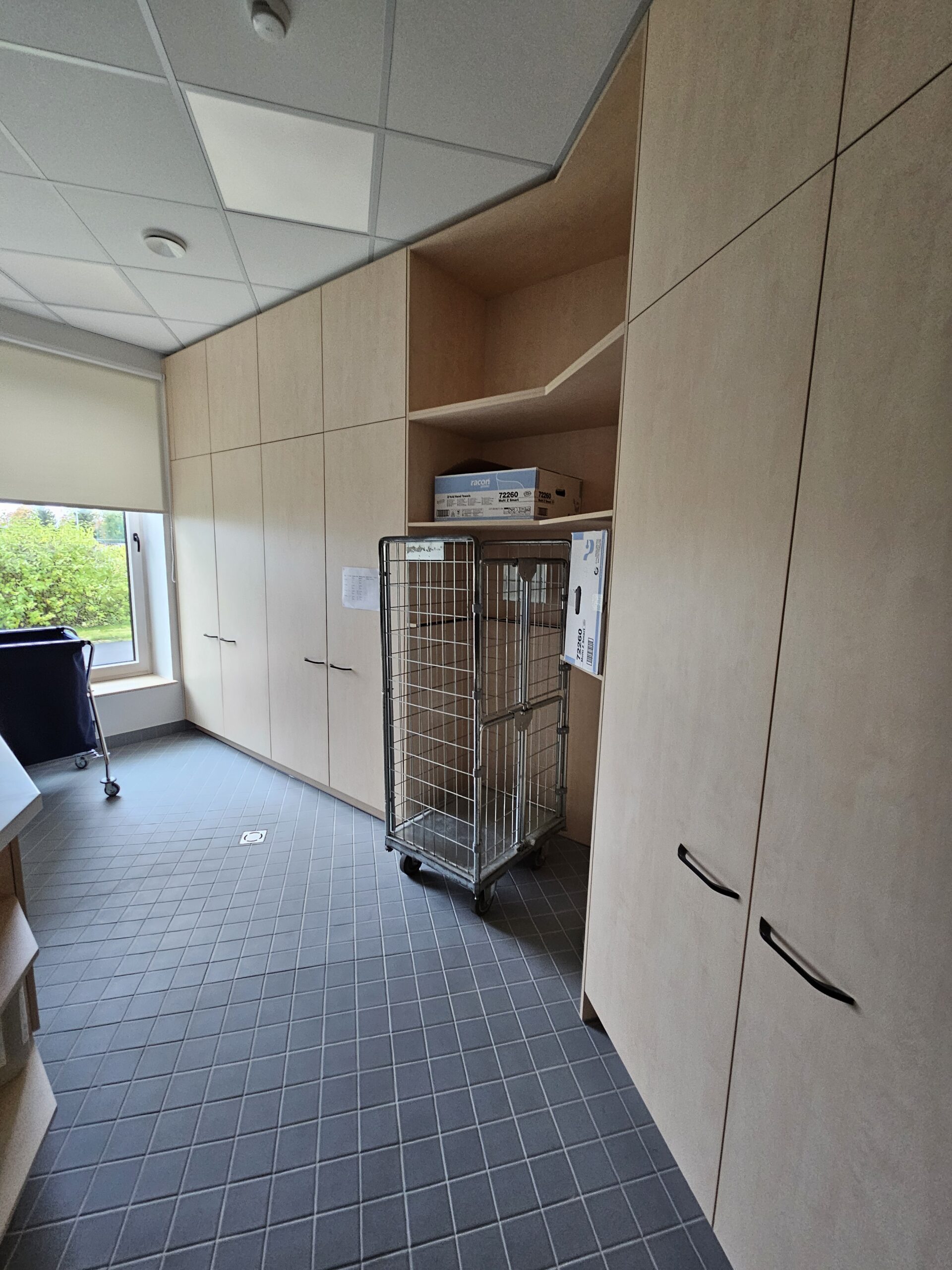 SAUE LASTEAED 7 Scaled